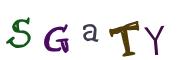 Recopier le code Captcha de l'image