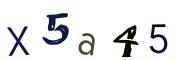 Recopier le code Captcha de l'image